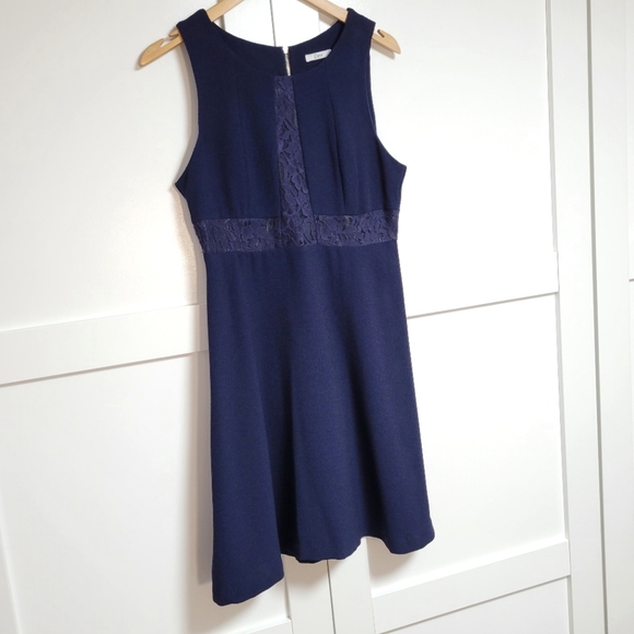 ✨️3 For $30✨️Dex Navy Lace Detail Dress (M) - Picture 1 of 5